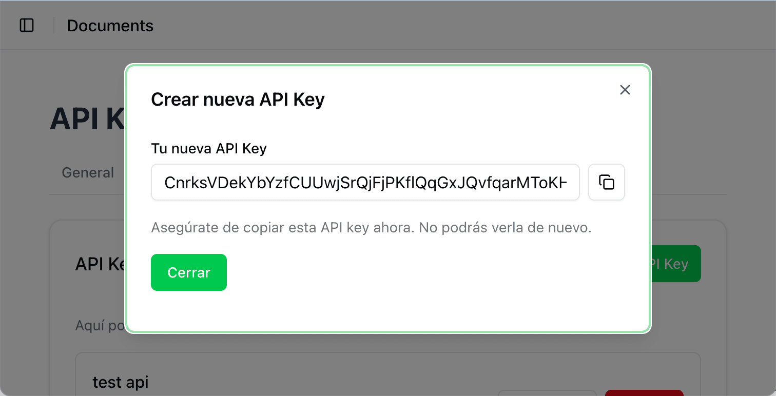 Copiar API Key